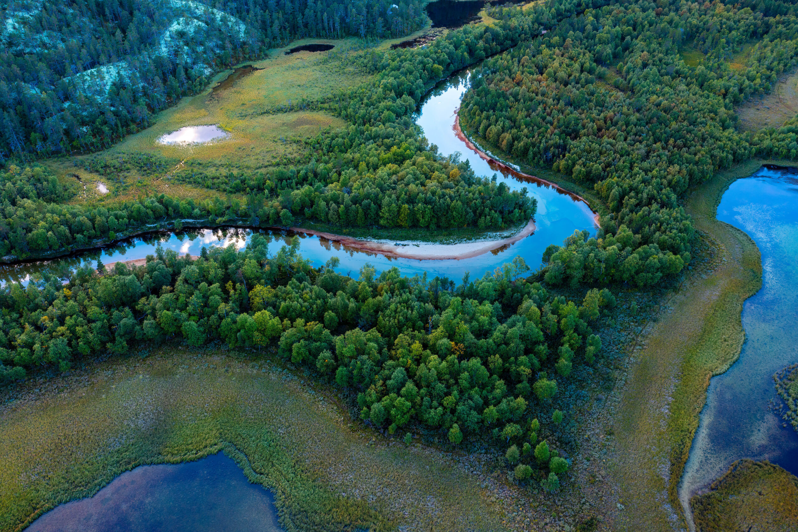 Swamp, river, lake and trees seen from above